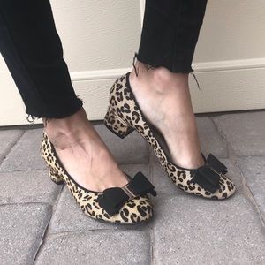 BP leopard bow flat